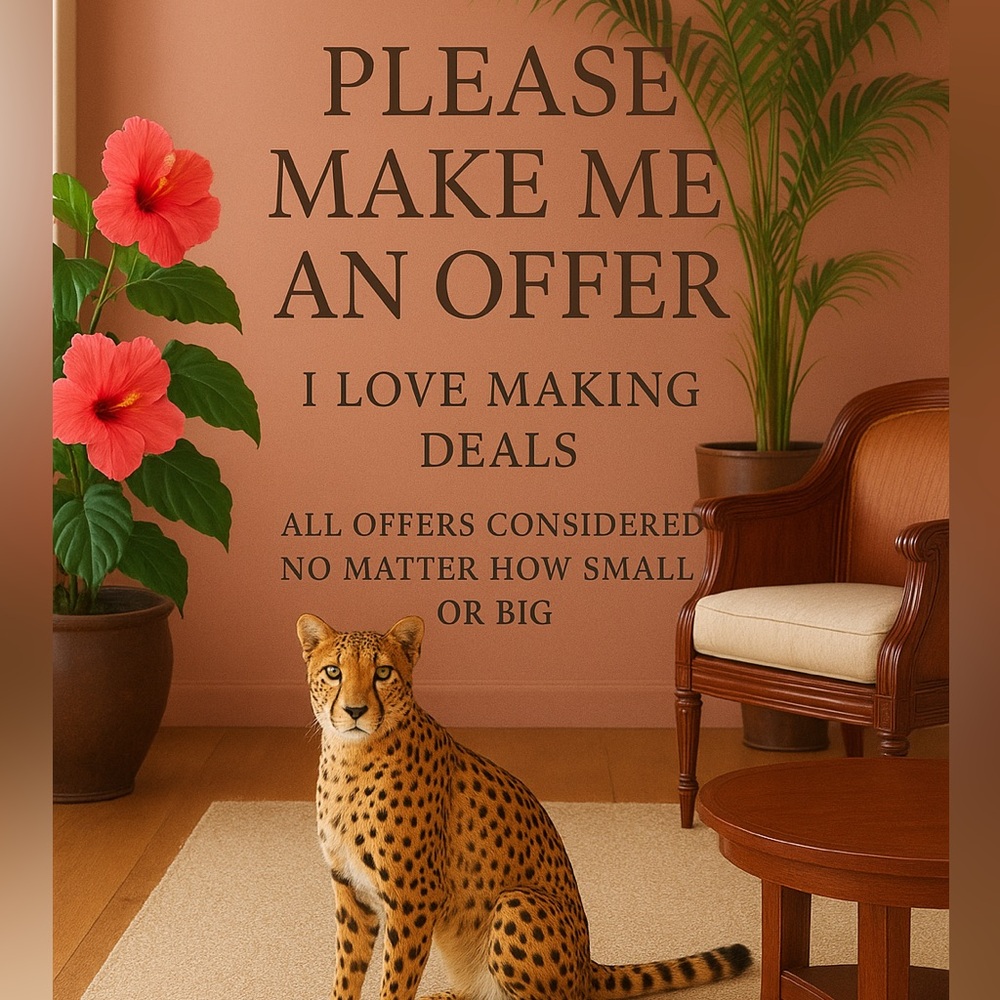 Make an offer! All offers are considered. You may be surprised at what I say! 🤩
